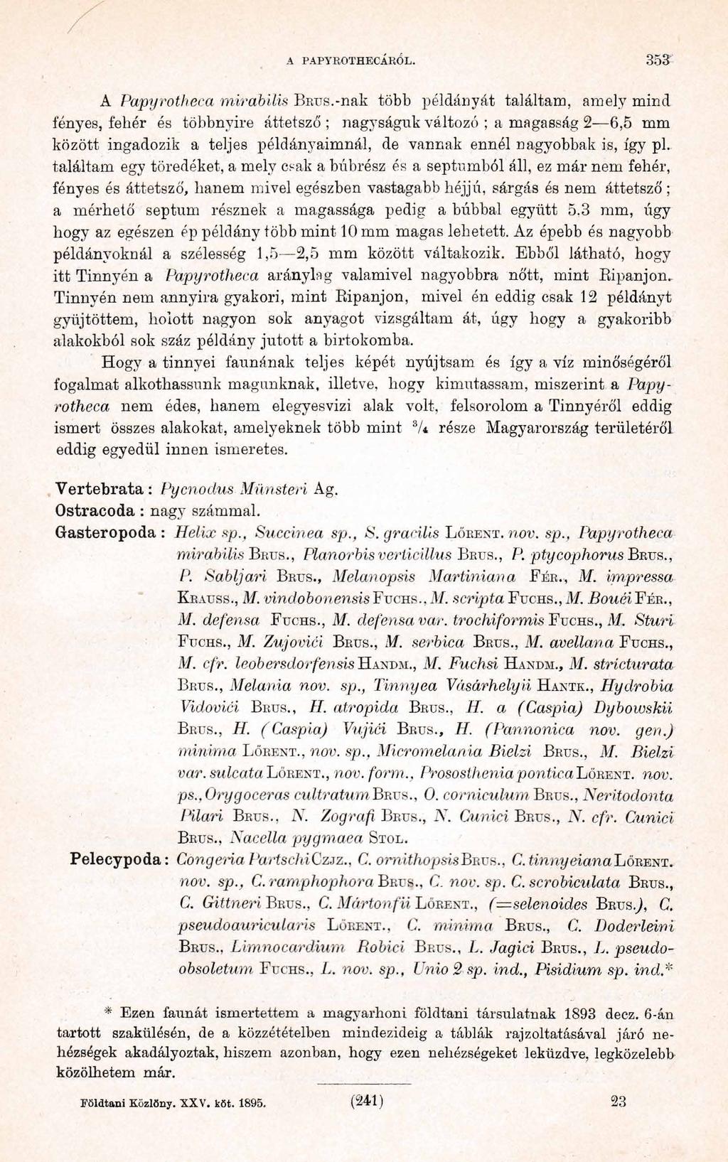 A PAPYROTHECÁRÓL. 3 5 3 A P apyrotheca m irabilis Bnus.