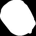 Figure 1 / 1.