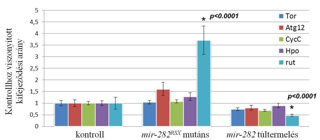 25. Ábra: A feltételezett céltranszkriptumok kifejeződési szintjének változása mir-282 RSX mutáns és mir- 282-t túltermelő bábokban: A kontroll (RS5453,e s /RS5453,e s ) bábokban mért egységnyi