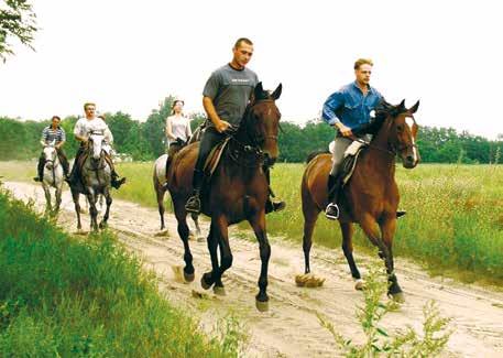 70 km-re, a Cegléd irányába vezető leágazástól van kitáblázva a Geréby kúria kb. 4 km-re. Kecskeméttől pedig 18 km-re.