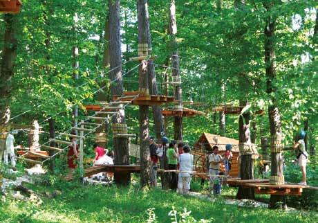 Lővér Kalandpark Lővér Kalandpark 9400 Sopron Lővérek Károly kilátói parkoló Honlap: www.loverkalandpark.hu Telefon: 20/946-0641 E-mail: info@loverkalandpark.
