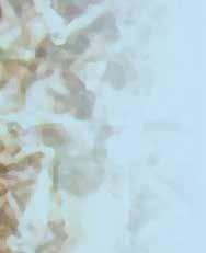 Lintr eo ar paper
