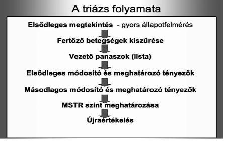 3. ábra: A prioritási csoport meghatározásának folyamata 4.