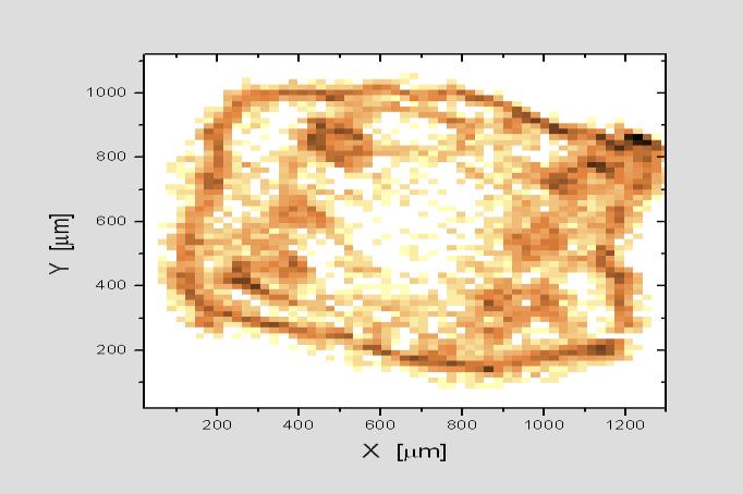 A méréssorozatot a HASYLAB L nyalábcsatornánál végeztük, multilayer monokromátorral előállított monokromatikus röntgennyalábbal gerjesztve, SD detektorral felvéve a fluoreszcens sugárzás