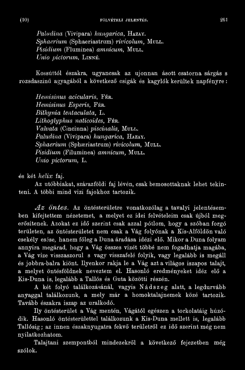 Az öntésterületre vonatkozólag a tavalyi jelentésemben kifejtettem nézetemet, a melyet ez idei felvételeim csak újból meg^ erősítenek.