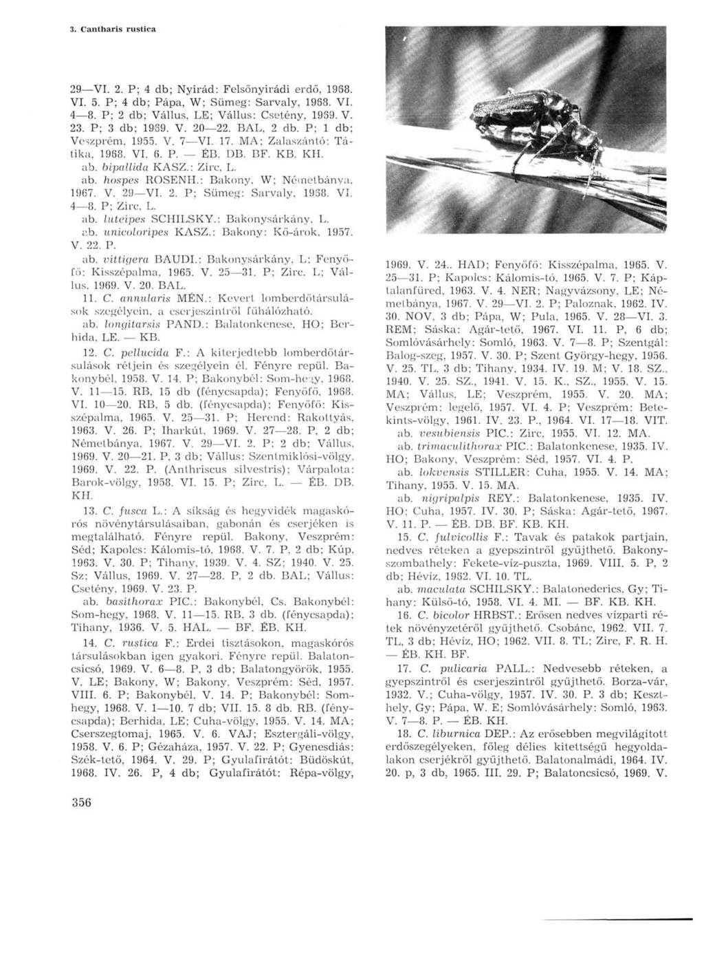 3. Cantharis rustica 29 VI. 2. P; 4 db; Nyirád: Felsőnyirádi erdő, 1968. VI. 5. P; 4 db; Pápa, W; Sümeg: Sarvaly, 1968. VI. 4 8. P; 2 db; Vállus, LE; Vállus: Csetény, 1969. V. 23. P; 3 db; 1969. V. 20 22.