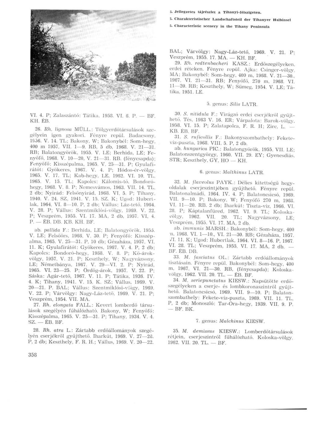 5. Jellegzetes tájrészlet a Tihanyi-félszigeten. 5. Charakteristischer Landschaftsteil der Tihanyer Halbinsel 5. Characteristic scenery in the Tihany Peninsula BAL; Várvölgy: Nagy-Láz-tető, 1969. V. 21.
