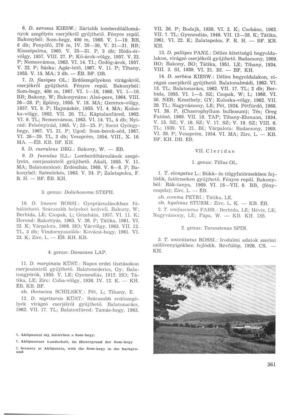 6. D. aerosus KIESW.: Zártabb lomberdőállományok szegélyén cserjékről gyűjthető. Fényre repül. Bakonybél: Som-hegy, 400 m, 1968. V. 1 10. RB, 6 db; Fenyőfő, 270 m, IV. 20 30, V. 21 31.
