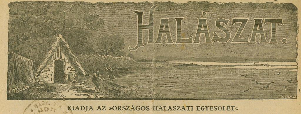 legfinomabb részt; azt, ha van, felerészben hús- vagy halliszttel szárazon jól összekeverve tó vízzel megnedvesítjük, egyúttal, a jobb eloszlás kedvéért, 10 15% agyagot sűrű leves formájában keverünk