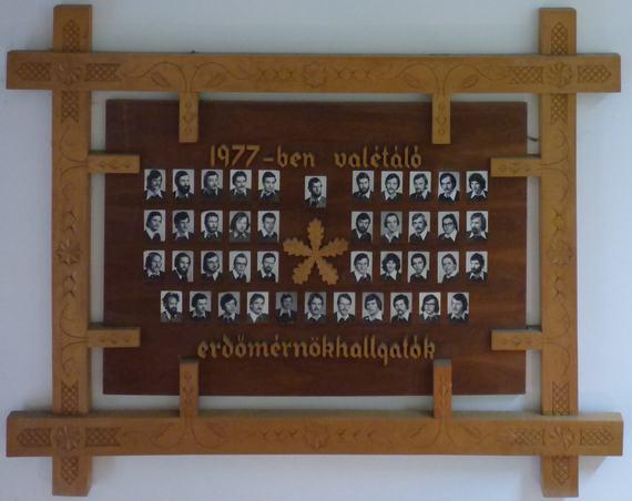 Első sor: Illyés László, Major Zsolt, Farkas Attila, Kiss Tibor, Inhaizer Árpád, Szőnyi János, Hopp Tamás, Balaskó Péter, Tihanyi Gyula, Folcz Tóbiás, Rajczi Balázs.
