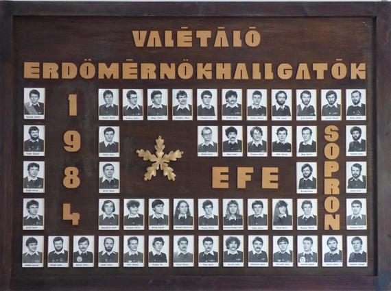 Első sor: Kocsis László, Rössler István, Sártory Endre, Nagy Tibor, Mikófalvi Lajos, Tihanyi Ervin, Bobkó János, Sódor Márton, Tóth Második sor: Tímár József, Orbán Lajos, Barton Zsolt, Bakó Csaba,