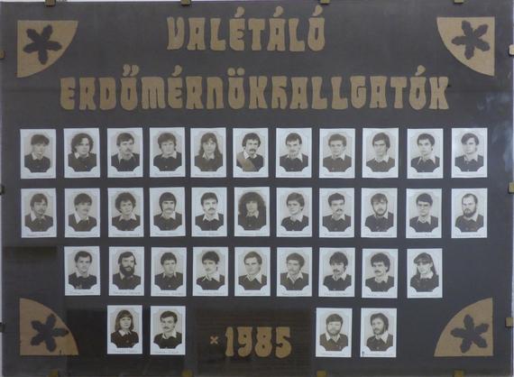 Első sor: Simon Erzsébet, Zoltán János, Vasas Ernő, Takács Zoltán, Reményfy Rita, Csóka György, Rosta Gyula, Peer László, Dávid Lajos, Bukor László, Meggyesfalvi István.
