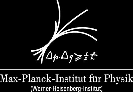 Physik Fizikus