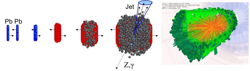 Nehézion-ütközések az LHC-nál A-A és p-a ütközések általános tulajdonságai töltött részecskék keletkezése (Npart skálázás) két-részecske korrelációk (ridge effektus, kvarkszám skálázás) A-A