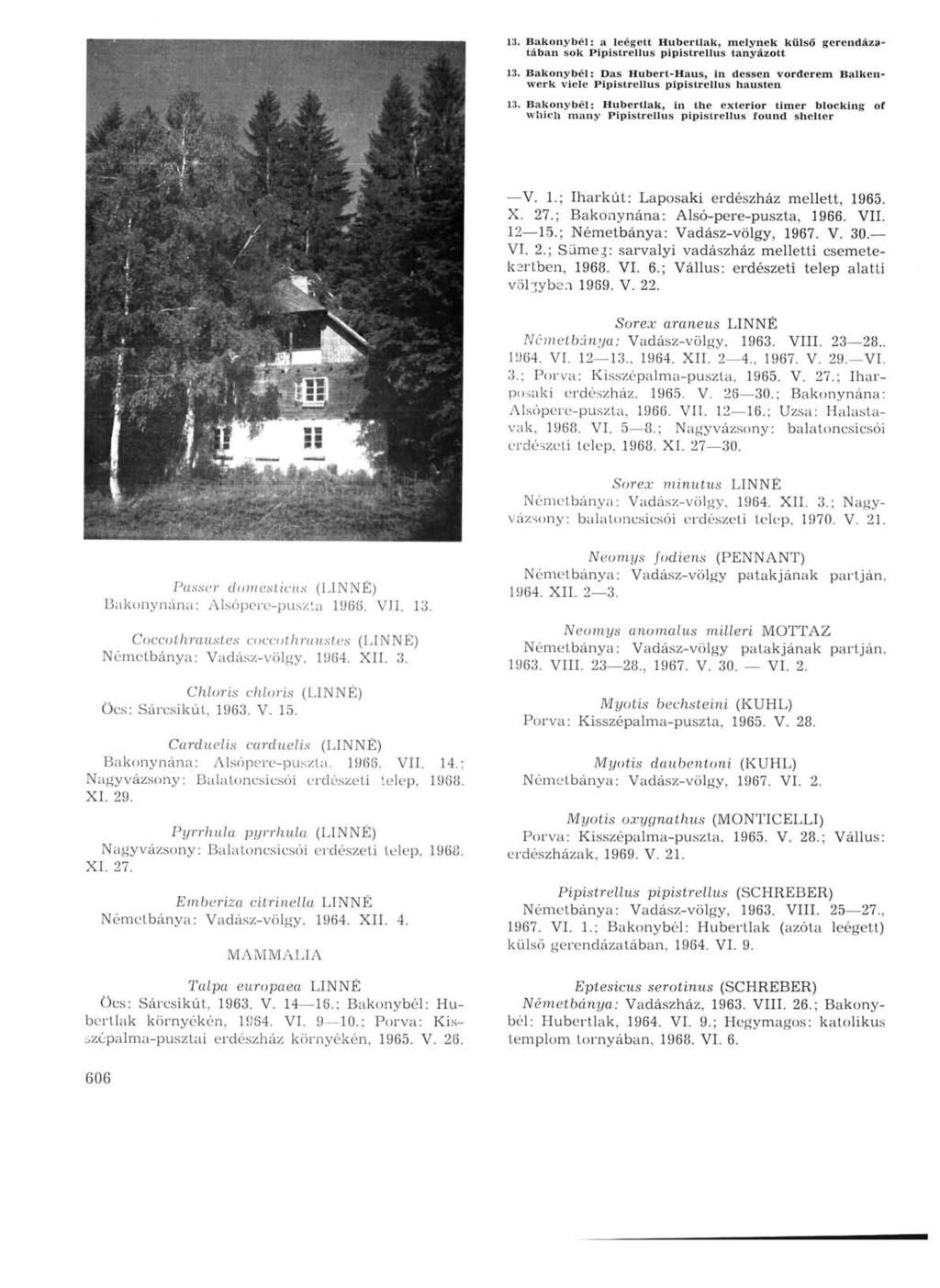 13. Bakonybél: a leégett Hubertlak, melynek külső gerendázatában sok Pipistrellus pipistrellus tanyázott 13.