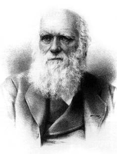 Darwini ökológia 1 Pásztor Erzsébet PhD, ELTE Biológiai Intézet Genetikai Tanszék lizp@falco.elte.