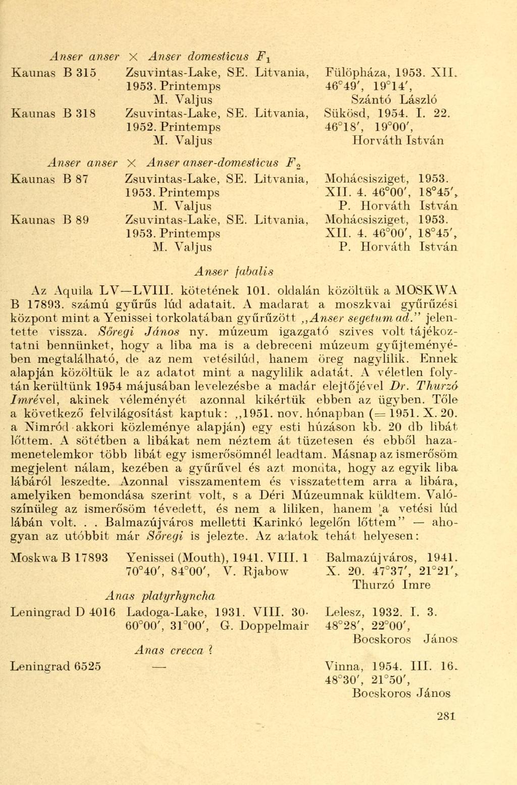 Anser anser X Anser domesticus F x Kaunas B 315 Zsuvintas-Lake, SE. Litvánia, Kaunas B 318 Zsuvintas-Lake, SE. Litvánia, 1952.