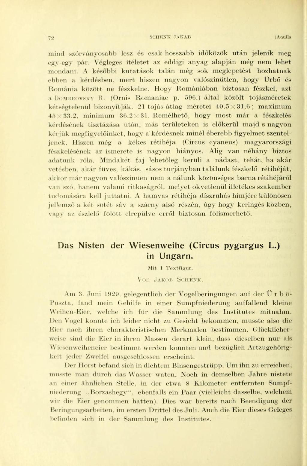 72 SCHENK JA K A U [Aquila mind szórványosabb lesz és csak hosszabb időközök után jelenik meg egy-egy pár. Végleges ítéletet az eddigi anyag alapján még nem lehet mondani.