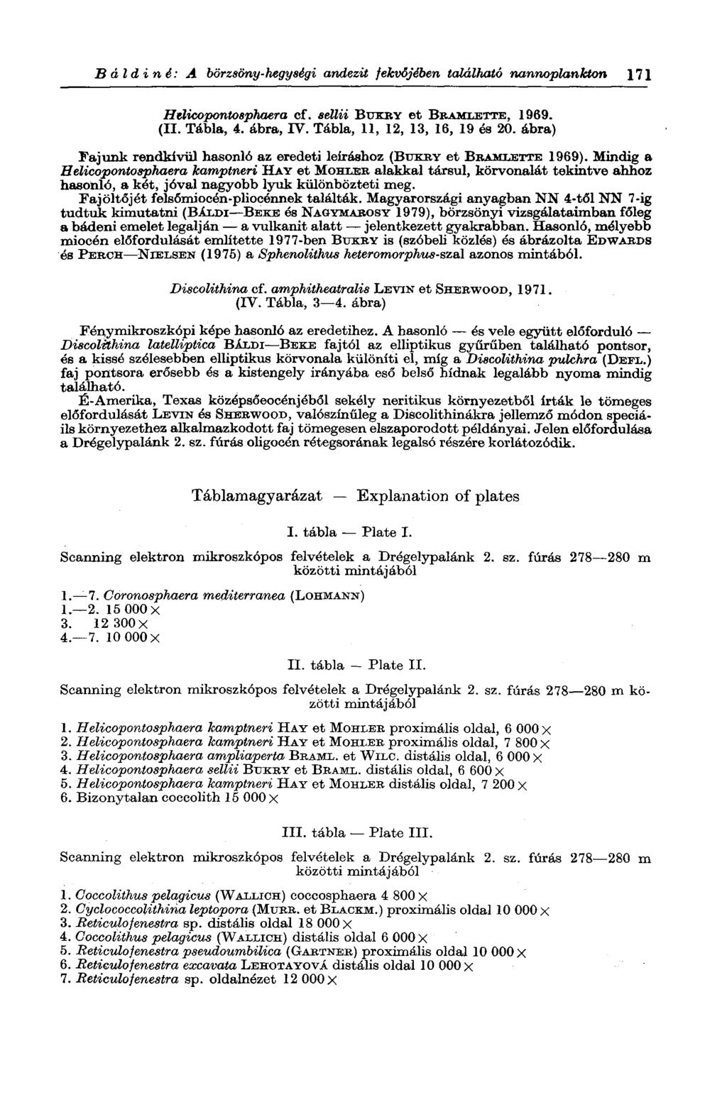 В à l d i n é: A börzsöny-hegységi andezit fekvőjében található nannoplankton 171 Helicopontosphaera cf. sellii BUKRY et BRAMLETTE, 1969. (II. Tábla, 4. ábra, IV. Tábla, 11, 12, 13, 16, 19 és 20.