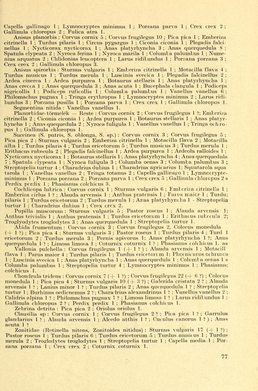 Capeila gallinago 1 ; Lymnoei yptes minimus 1 ; Porzana parva 1 ; Crex crex 2 ; Gallinula ehloropus 2 ; Fulica atra 1.