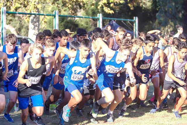 Bernardo 167 PL NAME TIME PL NAME TIME 11 Luis Barron 16:43.4 16 Zachary Sherman 19:30.2 13 Justin Ferguson 16:55.3 17 Herman Malik 19:31.6 19 Trevor Boaz 17:04.2 20 Cody Balazs 19:41.
