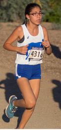 PALOMAR LEAGUE JUNIOR