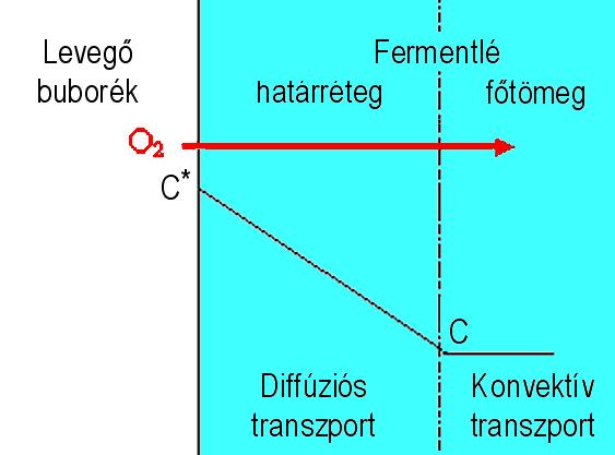 leglassabb a sebességmeghatározó ez a diffúzió a folyadékoldali határrétegben.