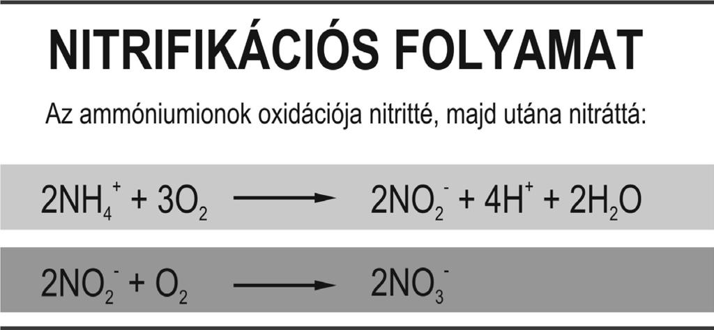 A termék fakultatív anaerob mikroorganizmusok kombinációját tartalmazza, melyek nitrátot használnak oxigénforrásként.