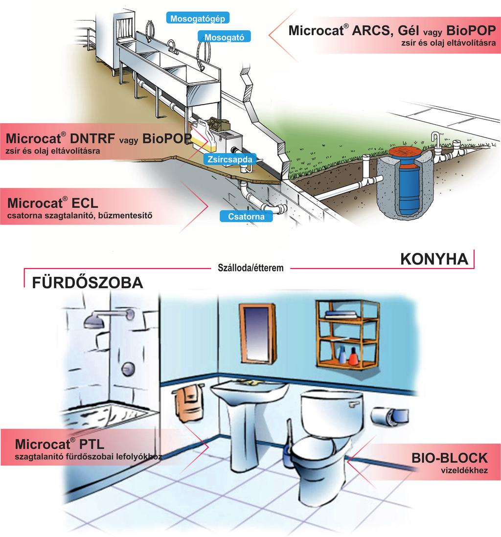 MICROCAT SXMRF zsírkezelő biotermék csatornarendszerekhez és szennyvízkezelő üzemek részére A MICROCAT -SXMRF előválogatott, adaptált mikroorganizmusok és enzimek szinergikus keveréke a városi és