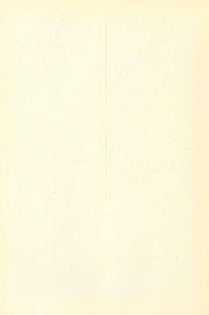 178 és növénytörmelék, kevés (Samen- u. pflanzliche Fragmente, wenige). 9. Kovartörmelék, igev kevés (Insektenfragmente, sehr wenige). 10. Kavics (Hteinclicn) 306 drb. (St.) Ut. 3, 4, 5, e, 7, 9. Nox.