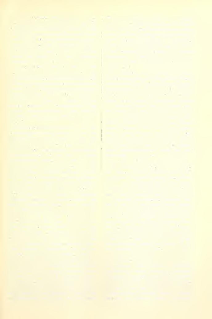 187 167. Nafjyú/mdnii. 1901. Aug. 18. 1. Setaria glauca termés (Früchte) S20 drb. (St.) 2. Panicum crus galli termés (Früchte) 16 drb. (St.) 3. Polygonum persicaria termés (Früchte) 2 drb. (St.) 4.