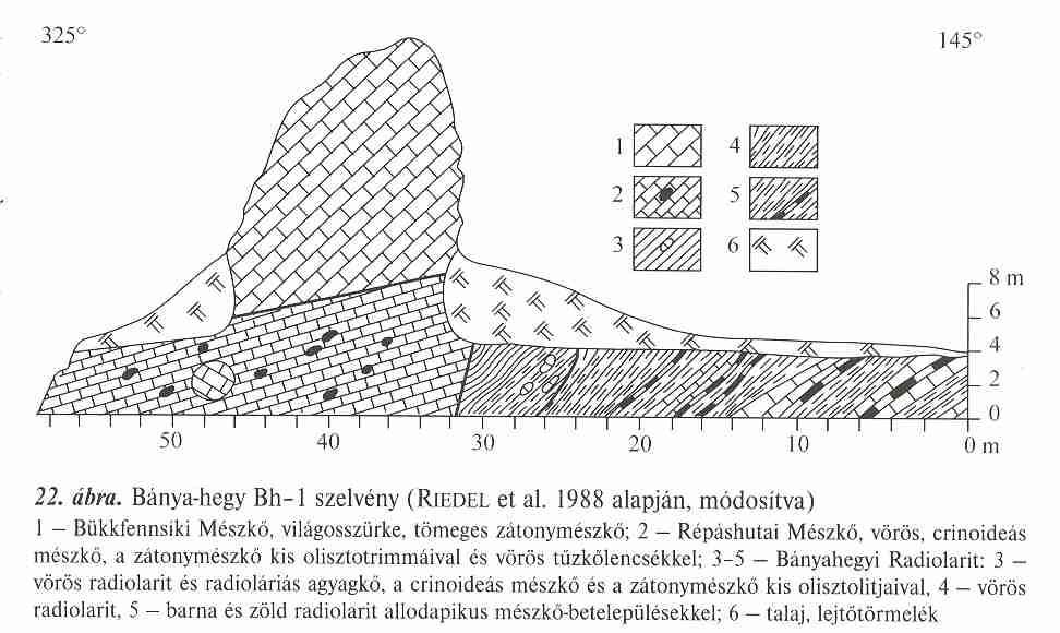 13 A Bánya-hegy BH-1 elnevezésű, J-47 jelű földtani alapszelvény metszete Bányahegyi Radiolarit Formáció (PELIKÁN PÁL 2005) Kislexikon: allodapikus üledék magasabb térszínről alacsonyabb térszínre