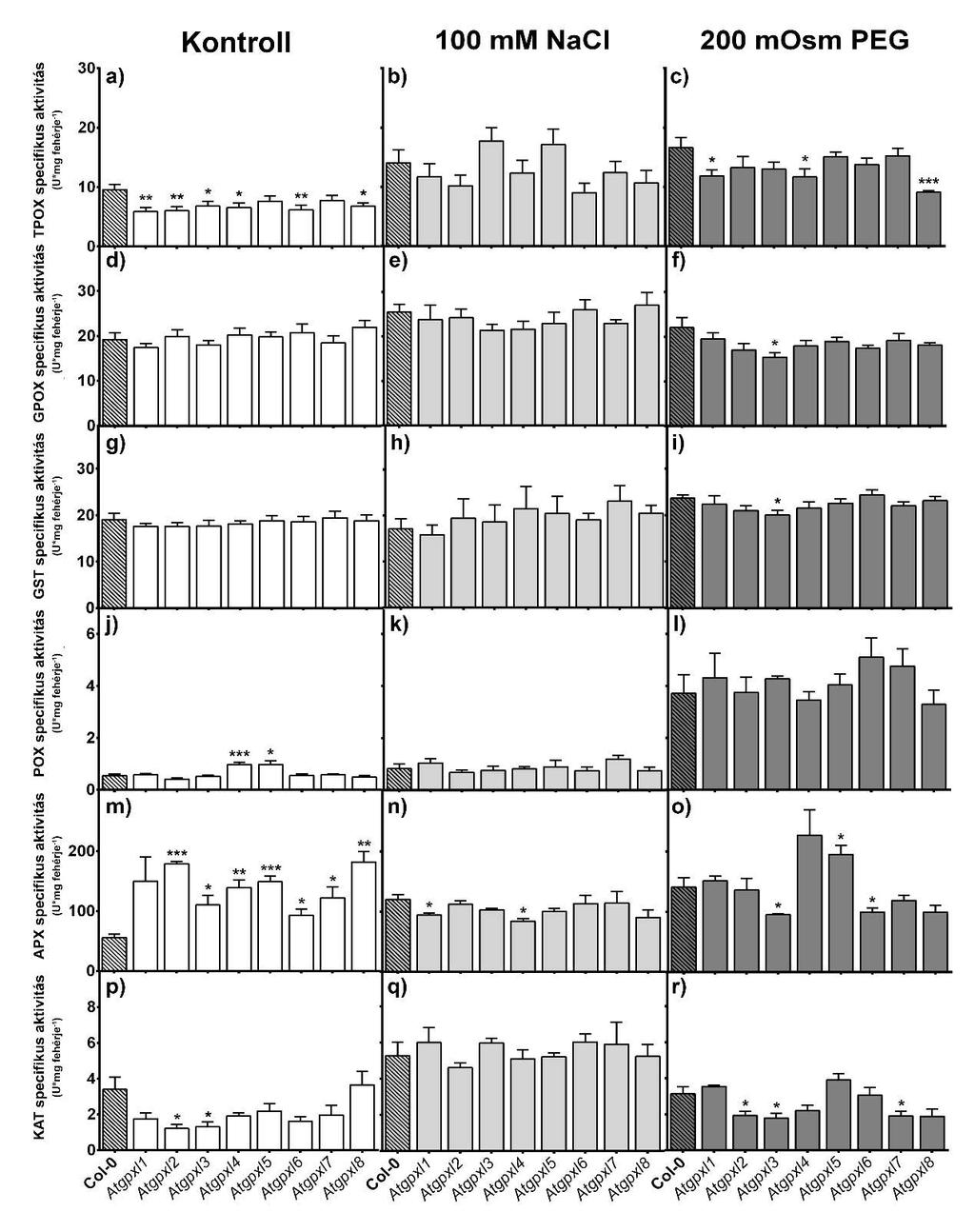 aszkorbát peroxidáz (APX) és kataláz (KAT) enzimek aktivitását (20. ábra; 21. ábra). Általánosságban elmondható, hogy a gyökerekben a specifikus enzimaktivitások magasabbak, mint a hajtásokban. 20.