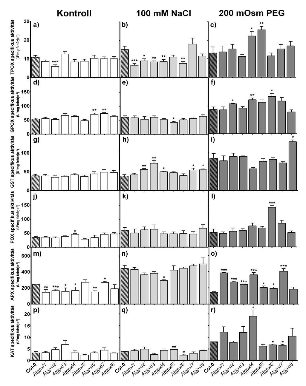 21. ábra Arabidopsis thaliana vad típusú (Col-0) és gpxl mutáns növények gyökerében mért antioxidáns enzimek aktivitásai (átlag ± SE, n=9-12) két napos 100 mm NaCl illetve 200 mosm PEG kezelést