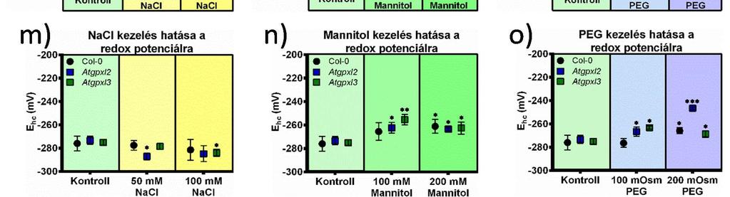 oxidált forma j) k) l) Glutation tartalmak, redukált és oxidált forma m) n) o) A GSH és GSSG
