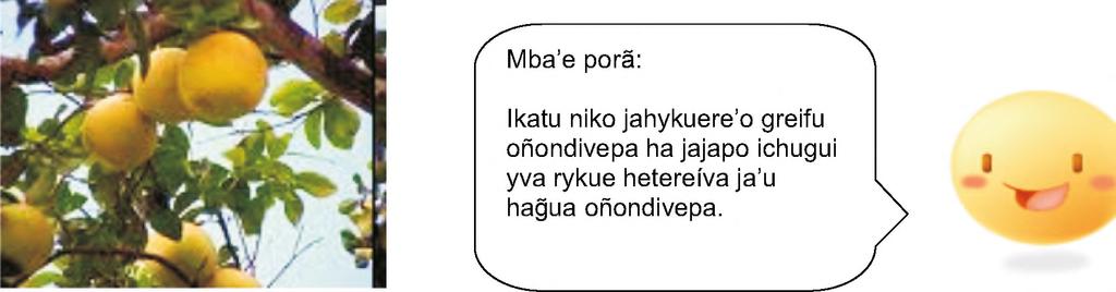 Opa rupiete niko jajuhu ko yva poraite, ikatu jajogua oimeraeichagua ñemuhágui. Heta ogaha rupi ot avei greifu.