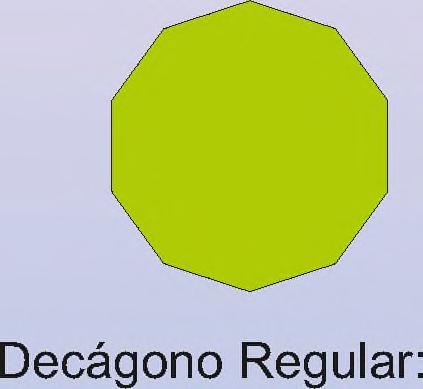 Regular: l x 6