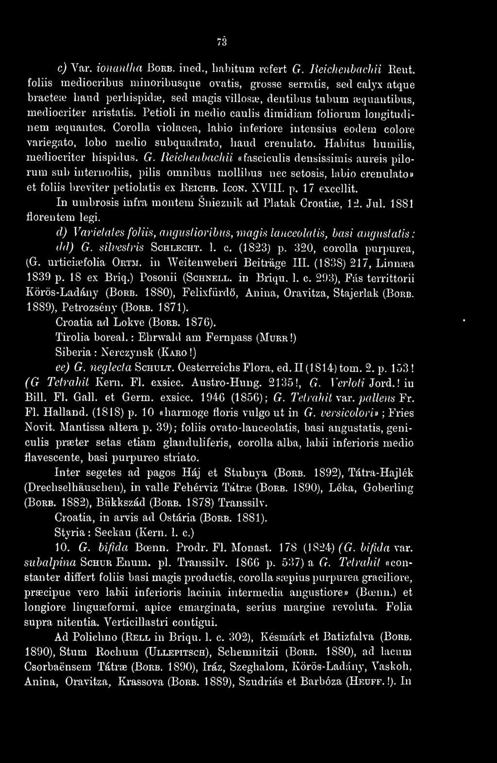 ::; c) Var. ionantlia Borb. ined., habitum refert G. Reichenbachii Reut, foliis mediocribus minoribusque ovatis, grosse serratis, sed calyx atque bractea? baud perhispidss, sed magis villosa?