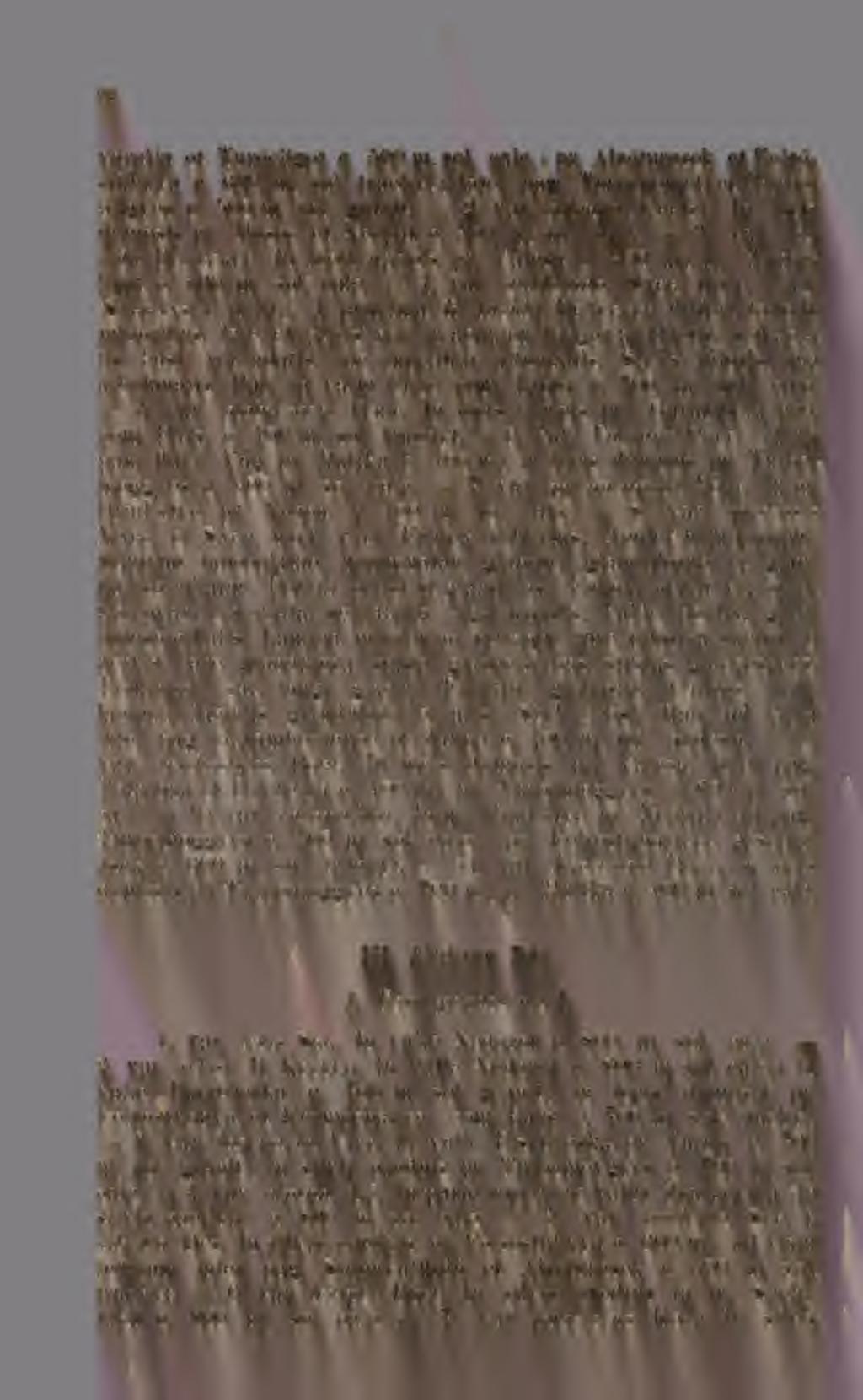 * 92 váralja et Turócliget c 500 m, sol. calc. pr. Alsóturcsek et Felsstubnva c. 600 m, áol. trachyt inter pag. Turócnémeti et Turóctölgyes c. 500 m, sol. gránit. 2. var. oblonga Christ.