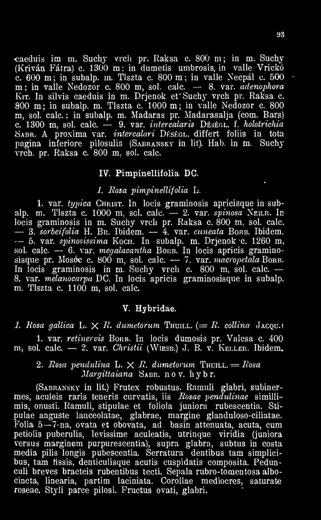 Madarasalja (com. Bars) c. 1300 m, sol. calc. 9. var. intercalaris Déségl. f. holotrichia Sabr. A proxima var. intercálari Déségl. difiért foliis in tota pagina inferiore pilosulis (Sabransky in lit).
