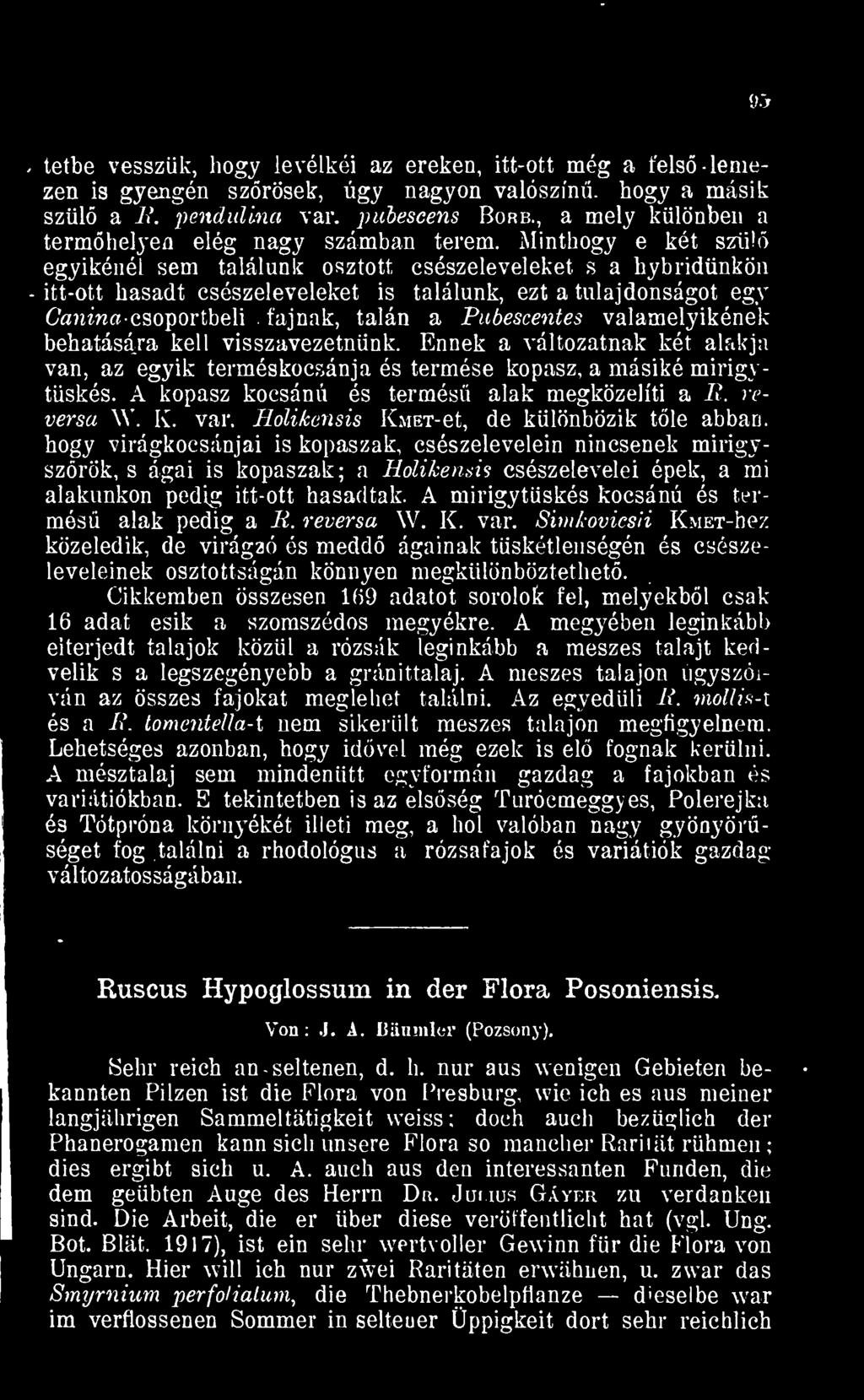 A kopasz kocsánú és termés alak megközelíti a R. revemet \Y. K. var.