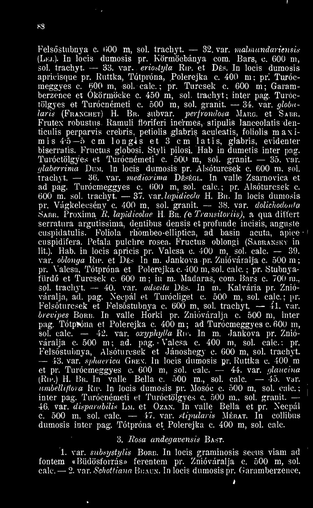 Turoctölgyes et Turócnémeti c. 500 m, sol. gránit. 34. var. globuiaris (Franchet) H. Br. subvar. perfrondosa Marg. et Sabr. Frutex robustus.