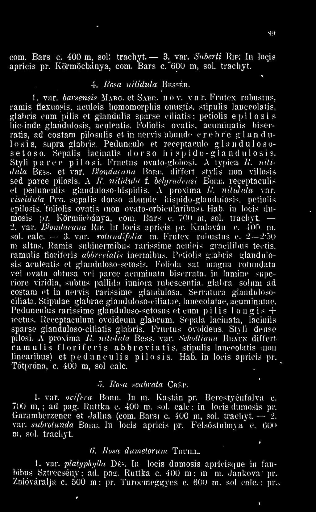 n'didxda f. belgradensi Bim. receptaculis et pedunciüis glanduloso-liispidis. A proxima N. nitidula var. viscidula Pug. sepalis dorso abunde liispido-glanduiosis. petiolis epilosis.