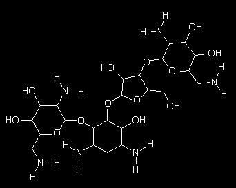 H 2 N O S O S O NH O Cl N H