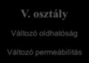 osztály Jó oldhatóság Rossz permeábilitás V.