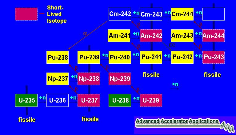 A transzuránok keletkezése A 239 Pu új mesterséges hasadóanyag keletkezése Az 238 U magokból keletkezett 239 Pu magok mennyisége függ a reaktor üzemelési körülményeitől.