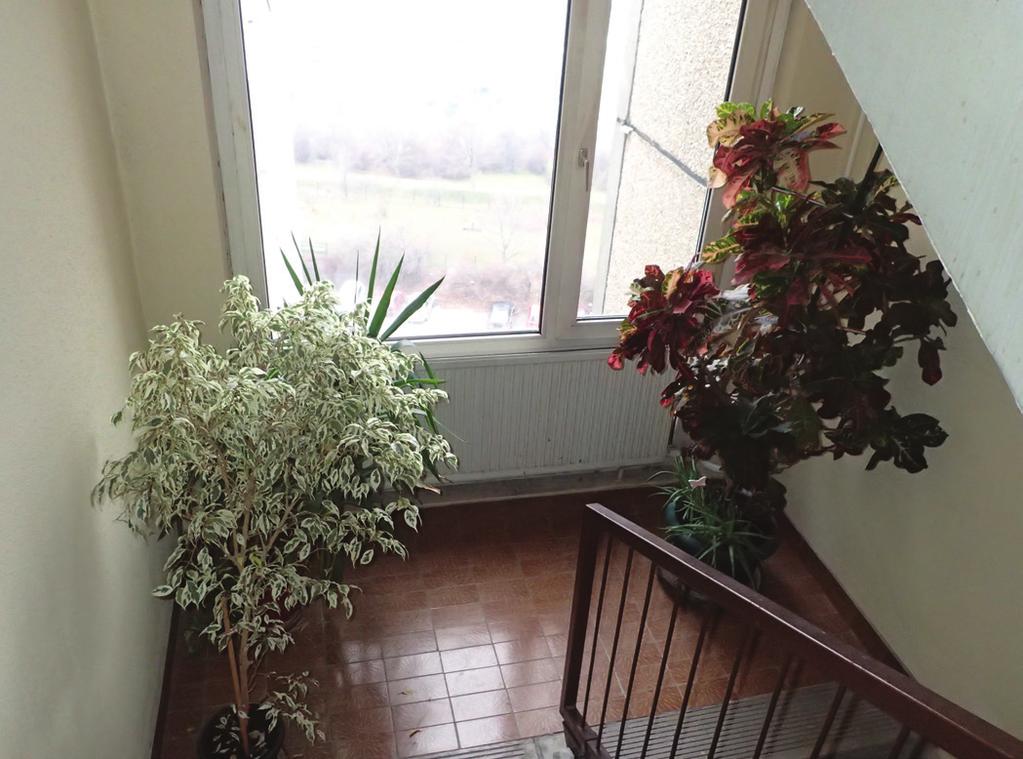 Az biztos, hogy a növényeket nem lehet asztalra, bútorra, olyan tárgyakra rakni, melyek amúgy sem lehetnének a folyosón, és megfelelő módon rögzíteni kell.