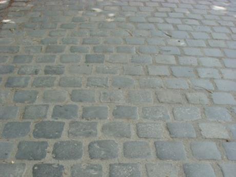Kálvin