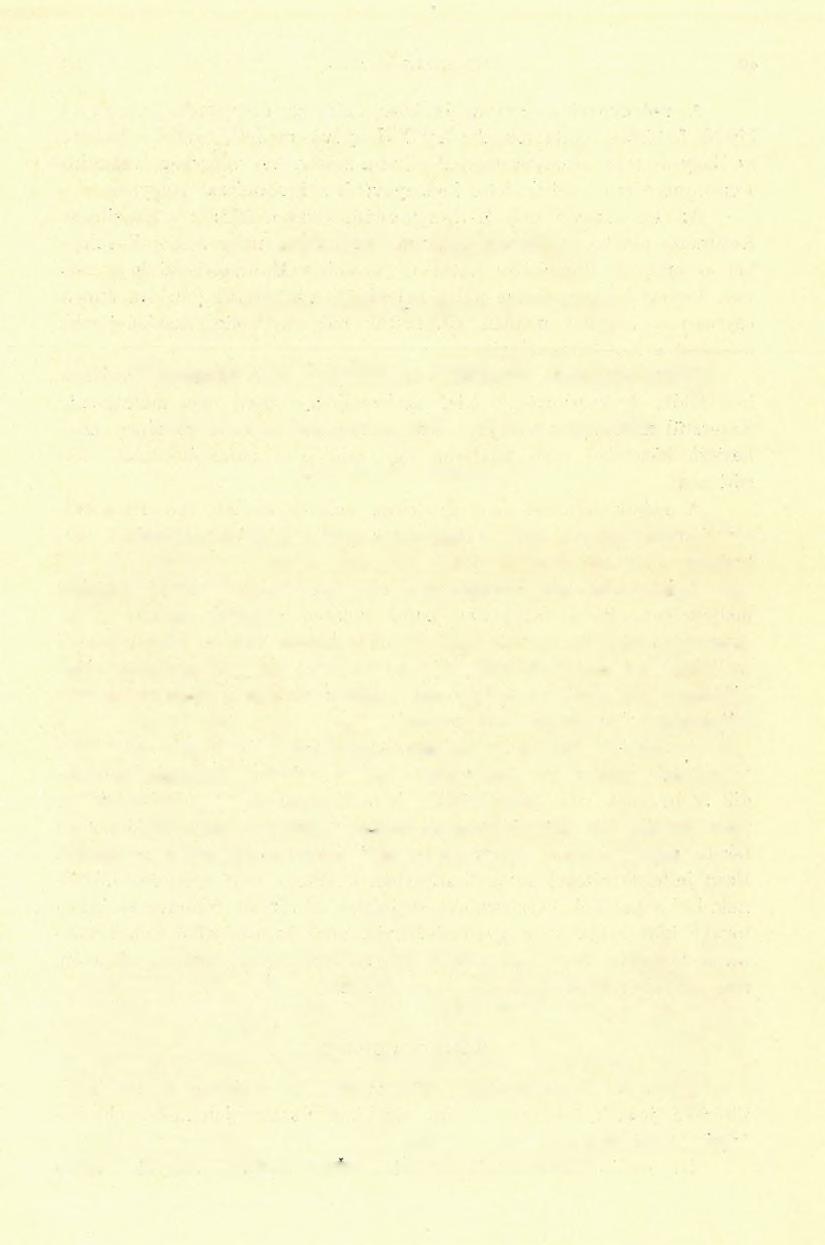 II, FÖLVÉTELI JELEN TÉSEK. A) Hegyvidéki országos felvételek. 1. Zsdenyova (Szarvasháza) környéke Beregmegyében. (Jelentés az 1906. évi részletes földtani felvételről.). Dl. PoSEWITZ TlVADAB-tÓl.