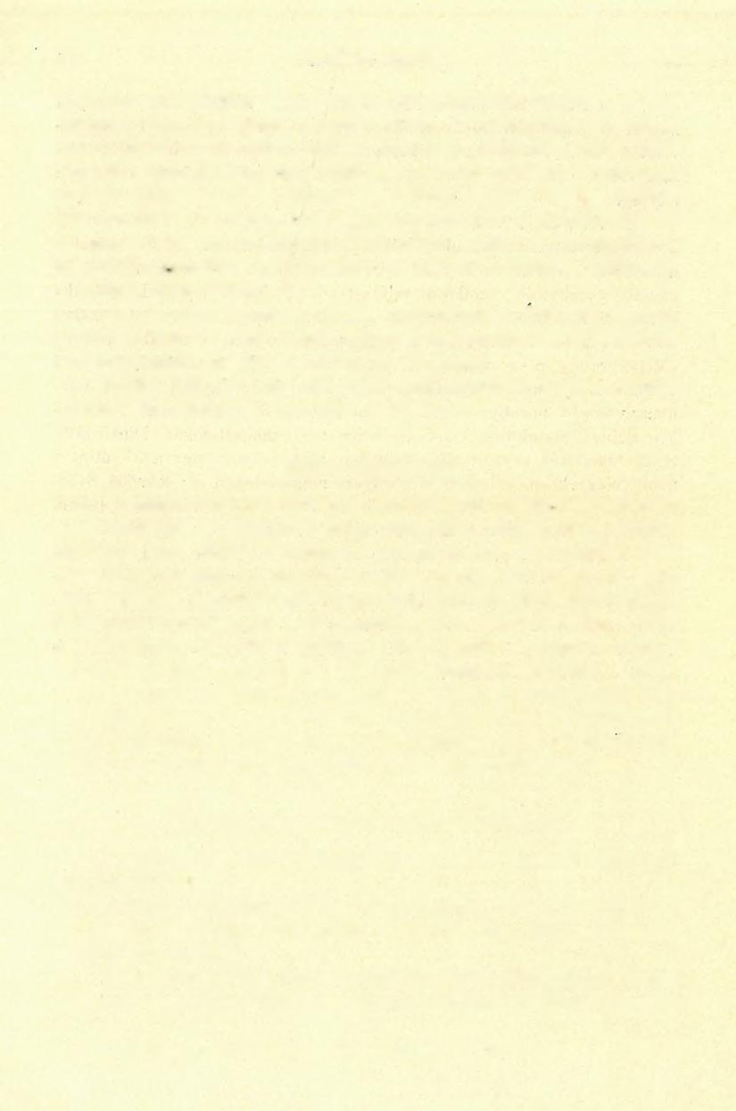 (5) FÖLVÉTELI JELENTÉS. 4 3 homokkő discordánsan reájuk települ kis synklinálist képezve. Az Ungvölgyben, Ny felé menve, mindkét oldalt az alsó-oligoczén terül el.